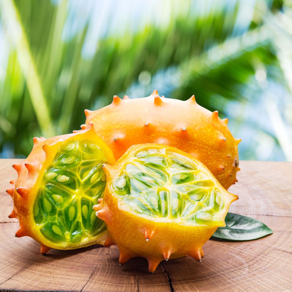 Cucumis metuliferus Bio - Ferme de Sainte Marthe - Kiwano