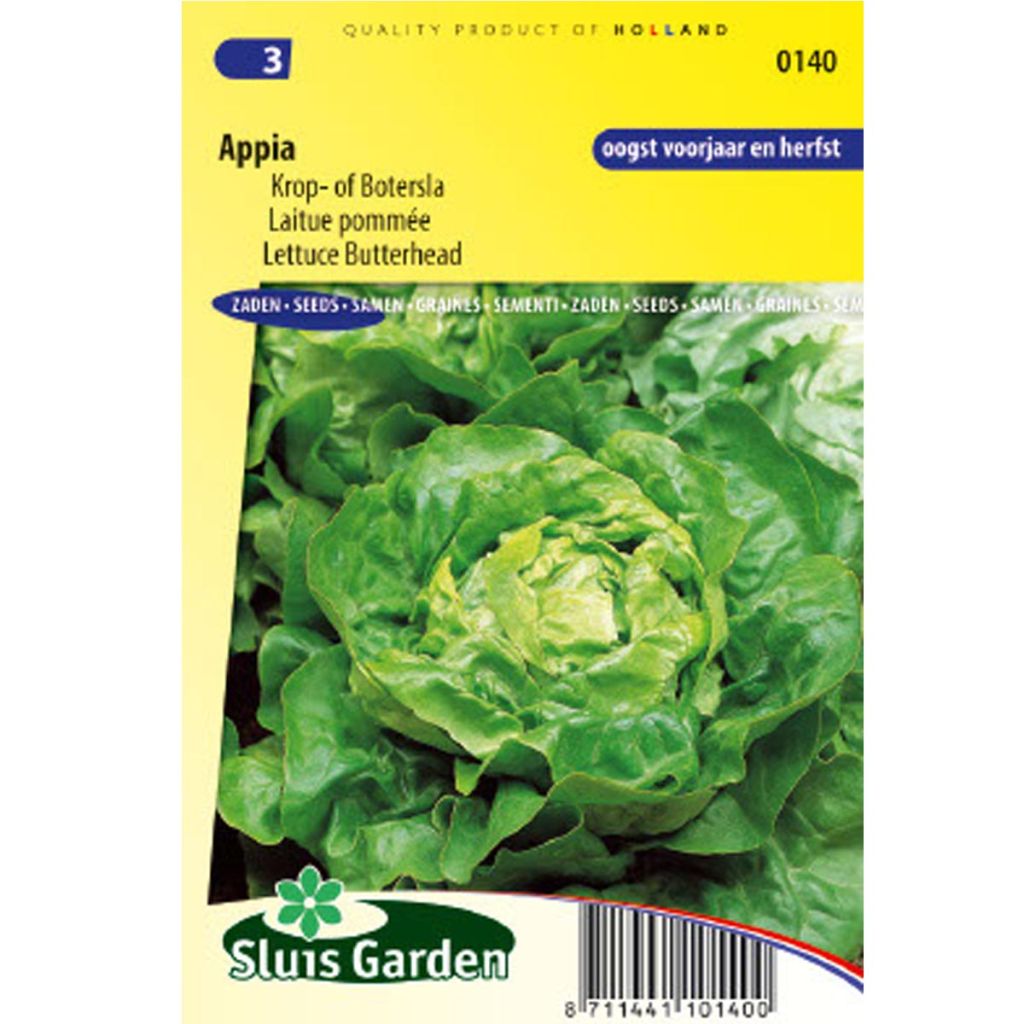 Lattuga a cappuccio Appia