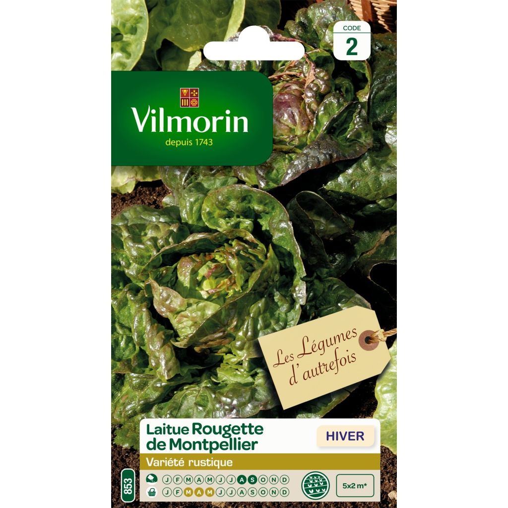 Lattuga Rougette de Montpellier - Vilmorin
