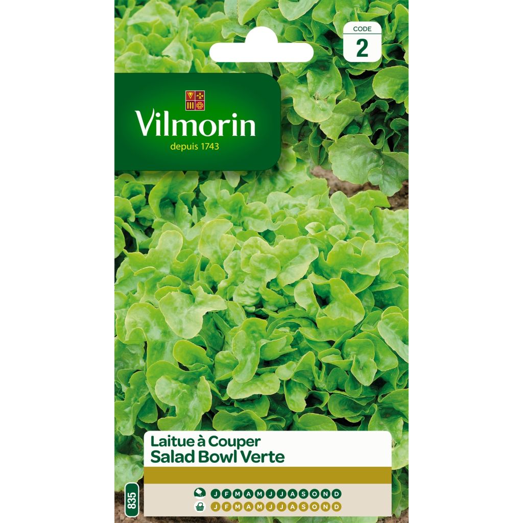 Lattuga a cespo Salad Bowl Verde - Vilmorin