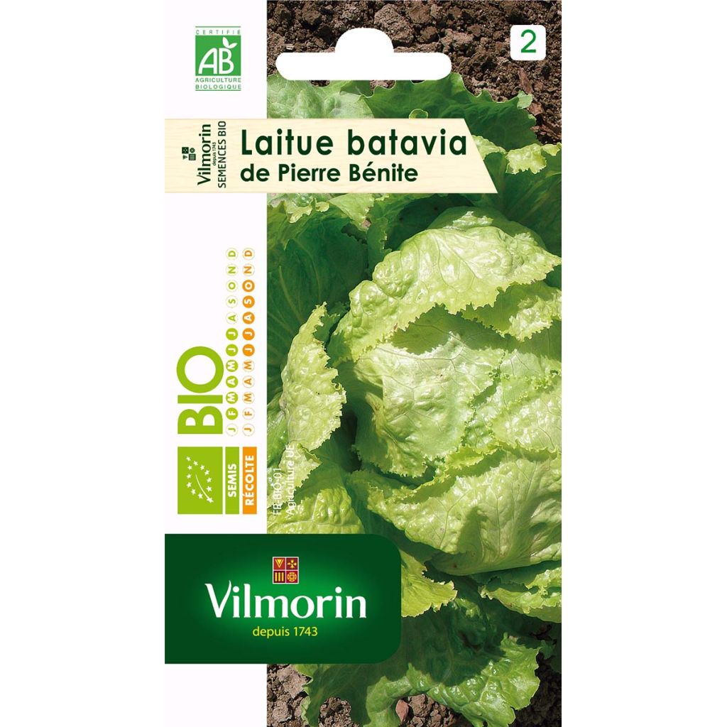 Lattuga batavia di Pierre Bénite Bio - Vilmorin