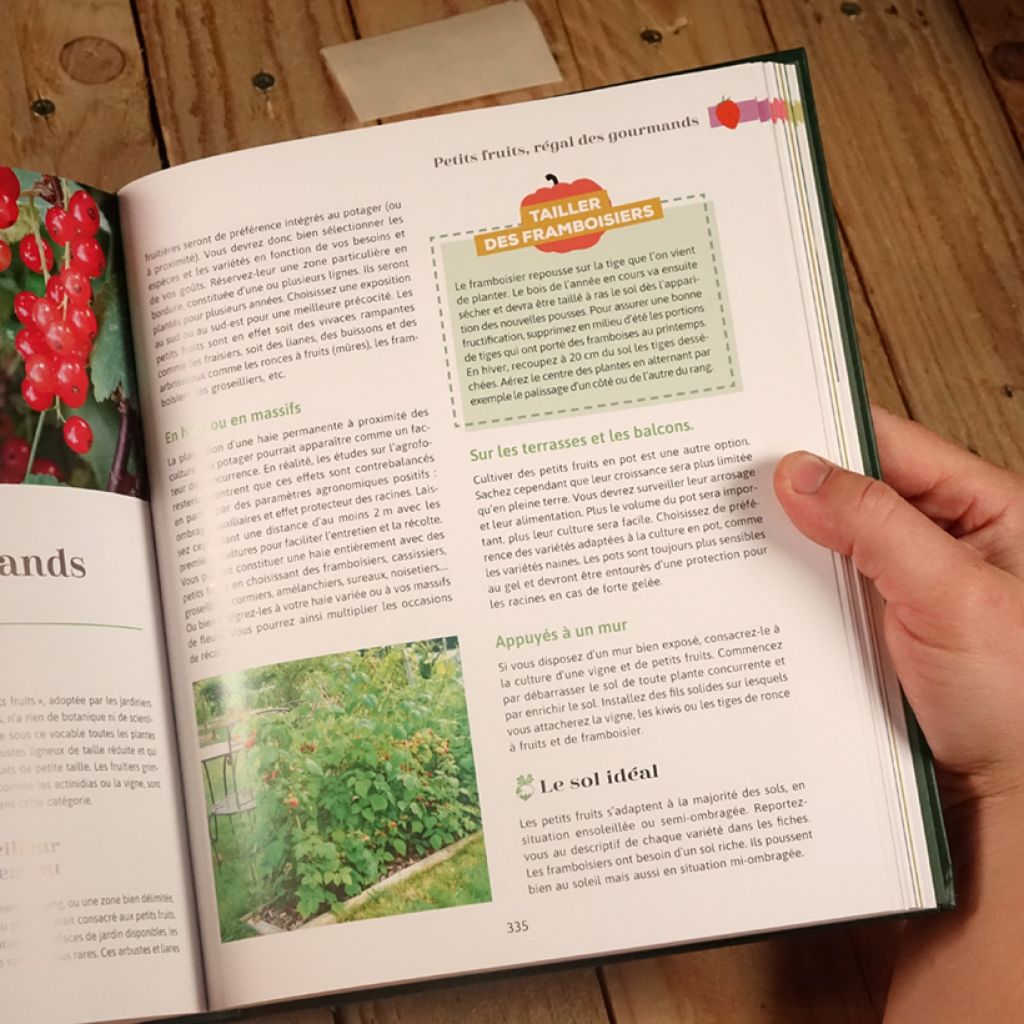 Le guide Clause du potager