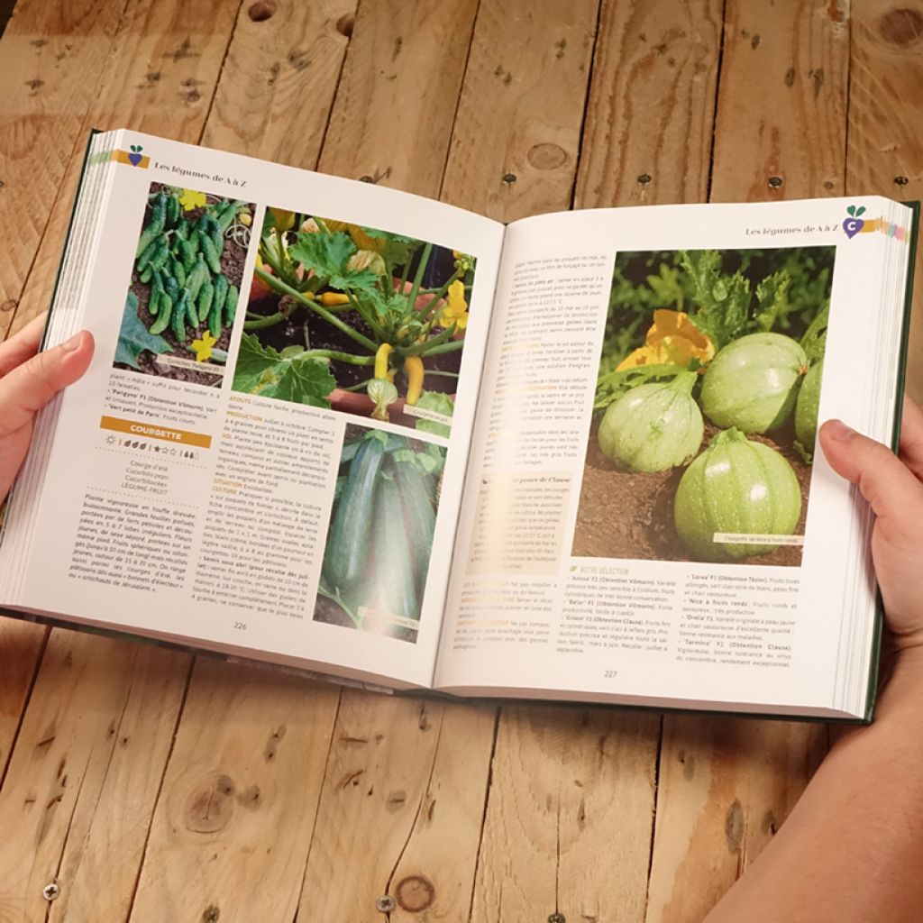 Le guide Clause du potager