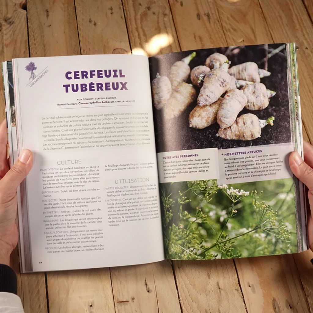 Le potager perpétuel