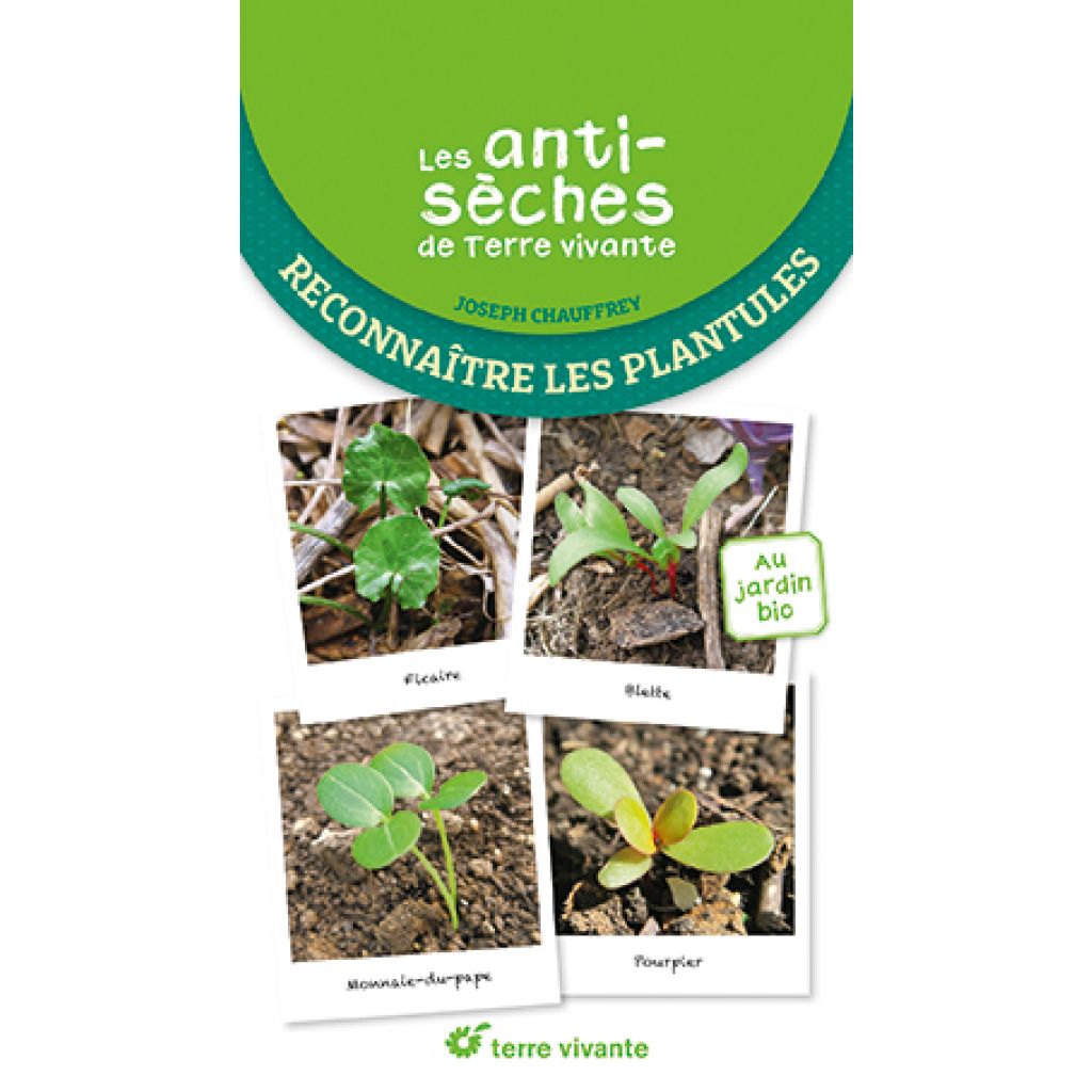 Les antisèches de Terre vivante : Reconnaître les plantules