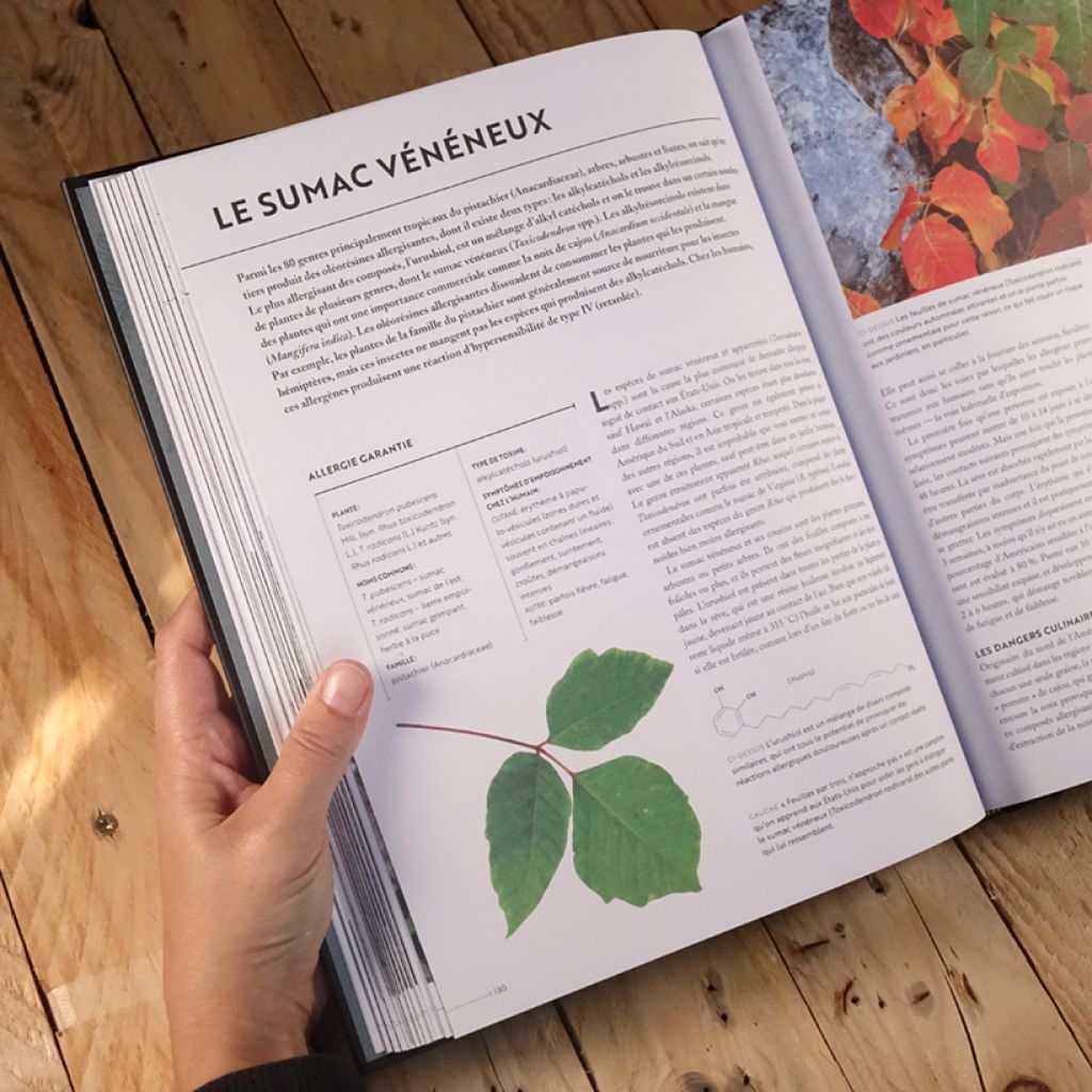 Les plantes qui tuent