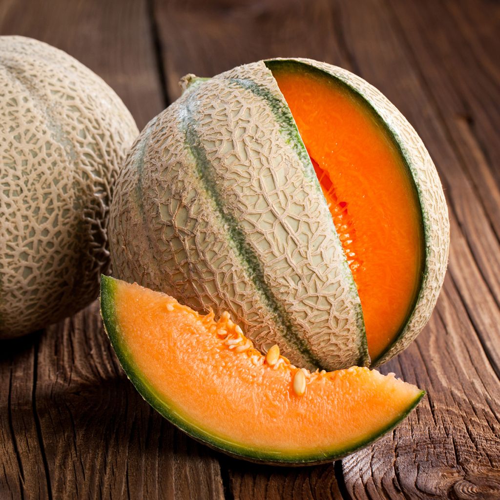 Melone Cantalupo charentais