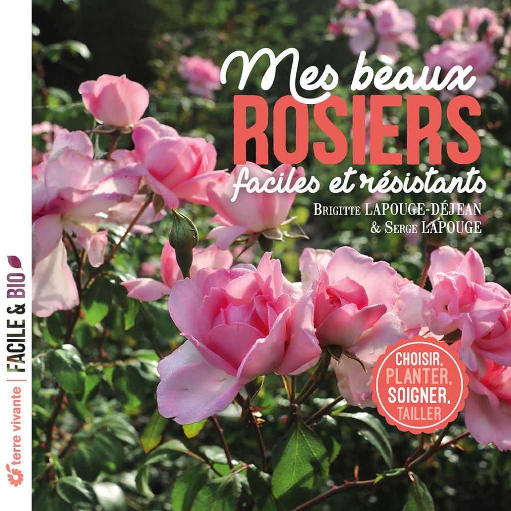 Mes beaux rosiers faciles et résistants
