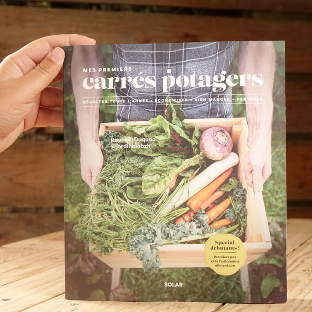 Mes premiers carrés potagers