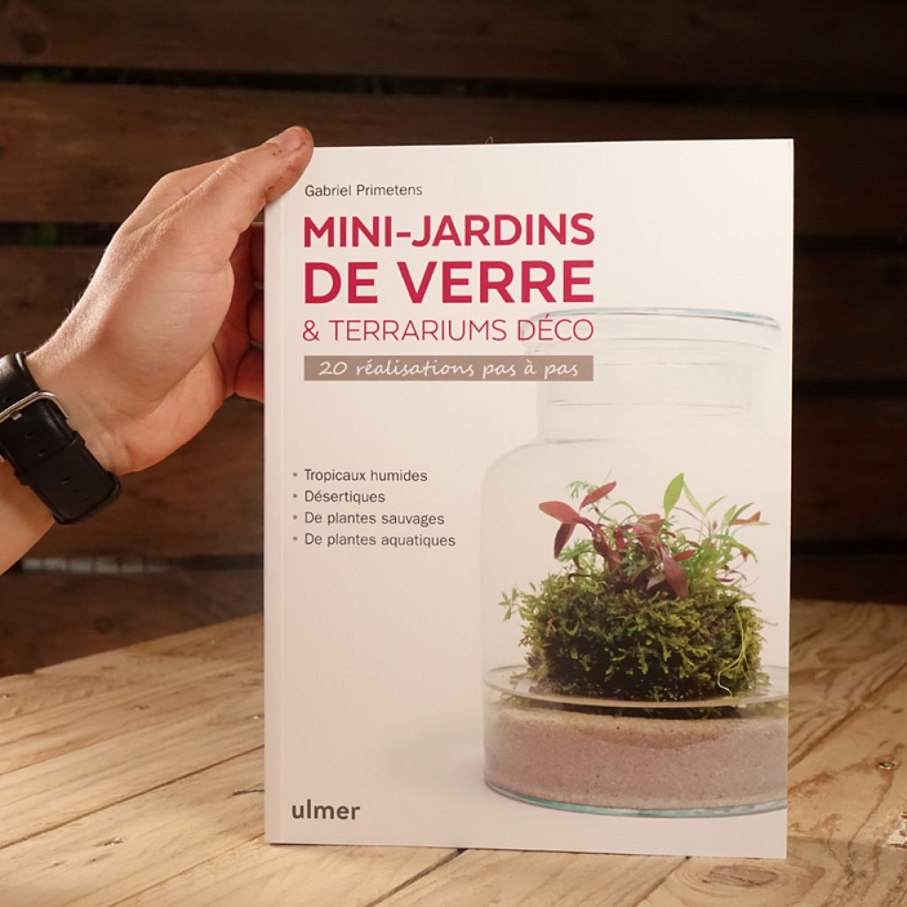Mini-jardins de verre & terrariums déco - 20 réalisations pas à pas