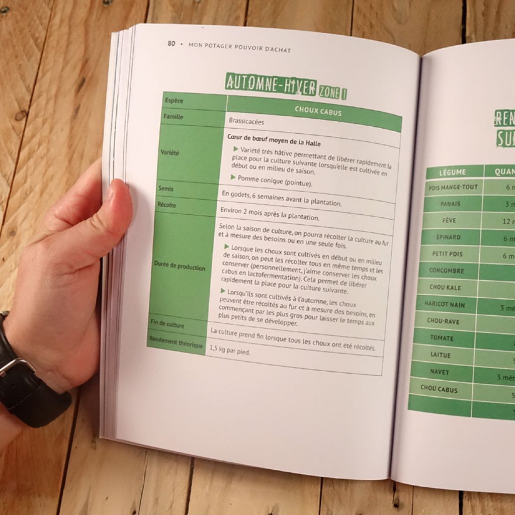 Mon potager pouvoir d'achat. Produire plus pour acheter moins