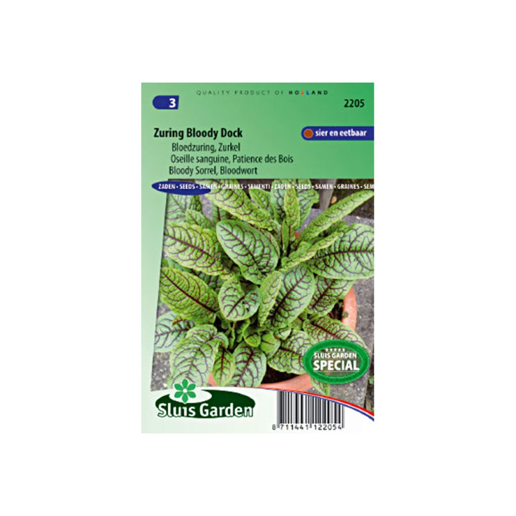 Romice rosso Patience Des Bois