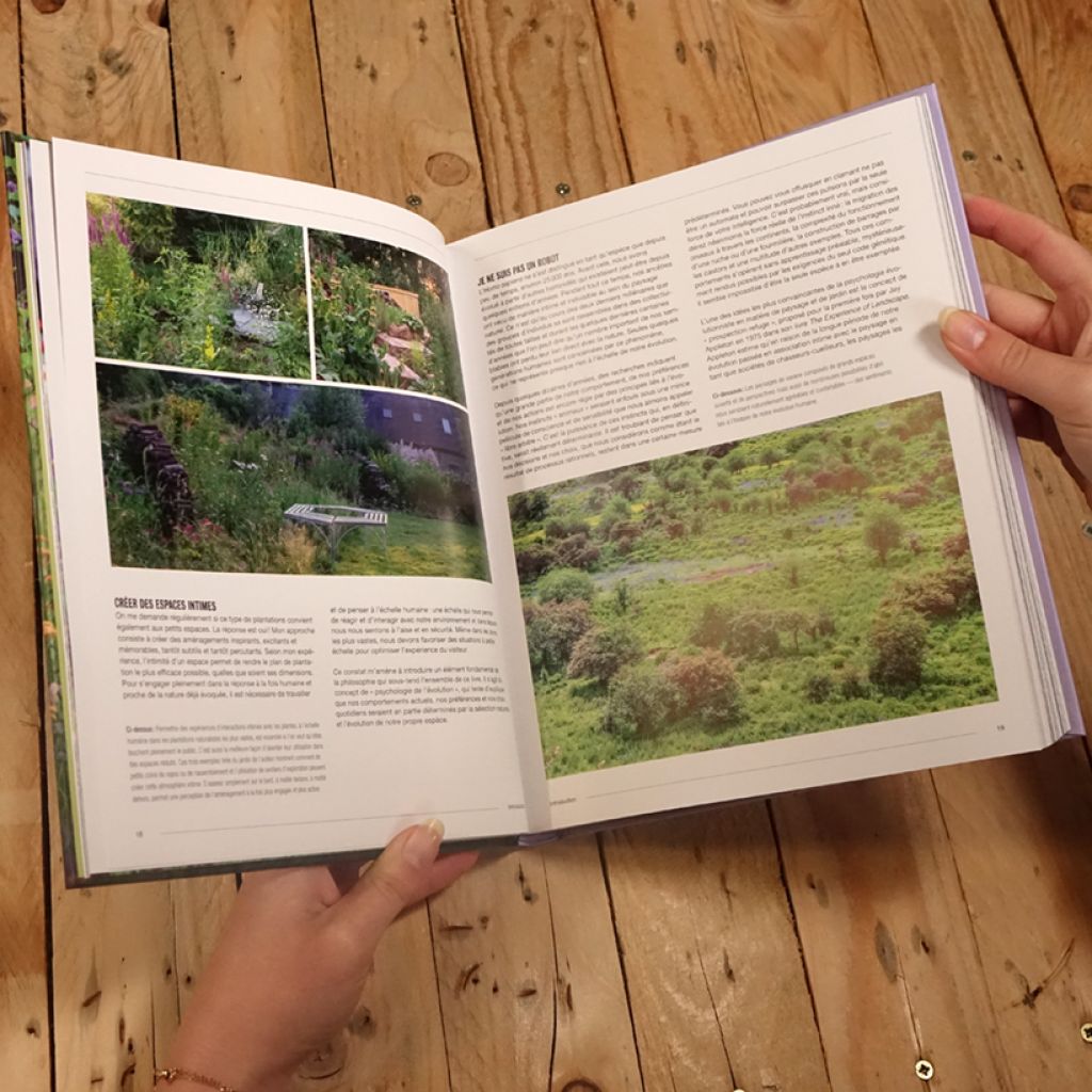 Plantations naturalistes - Introduire la nature dans les espaces verts et les jardins