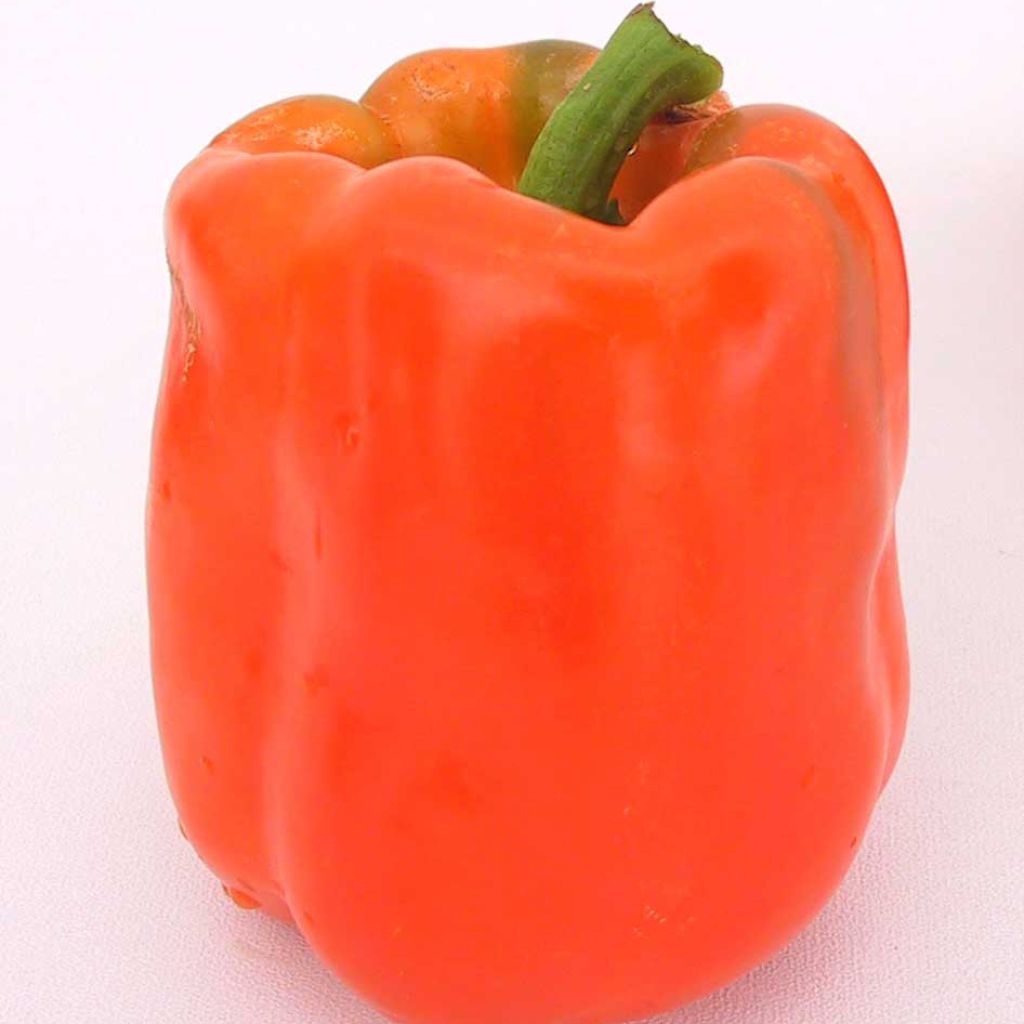 Peperone California Orange Wonder