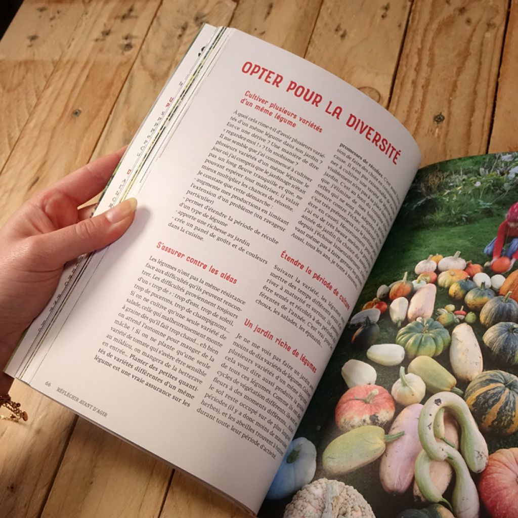 Le potager anti-crise - Faire des économies en cultivant ses légumes