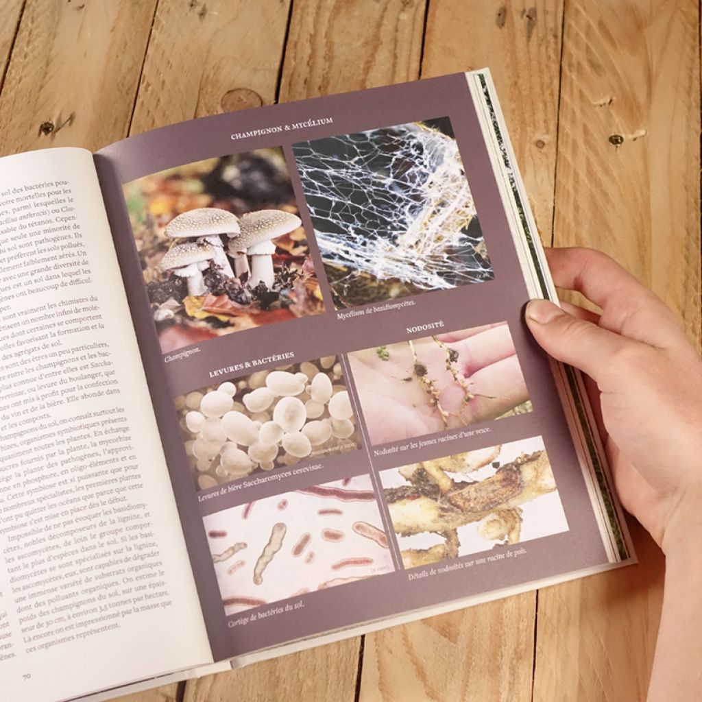 Prendre soin de son sol - Mieux le comprendre, le fertiliser et favoriser la vie