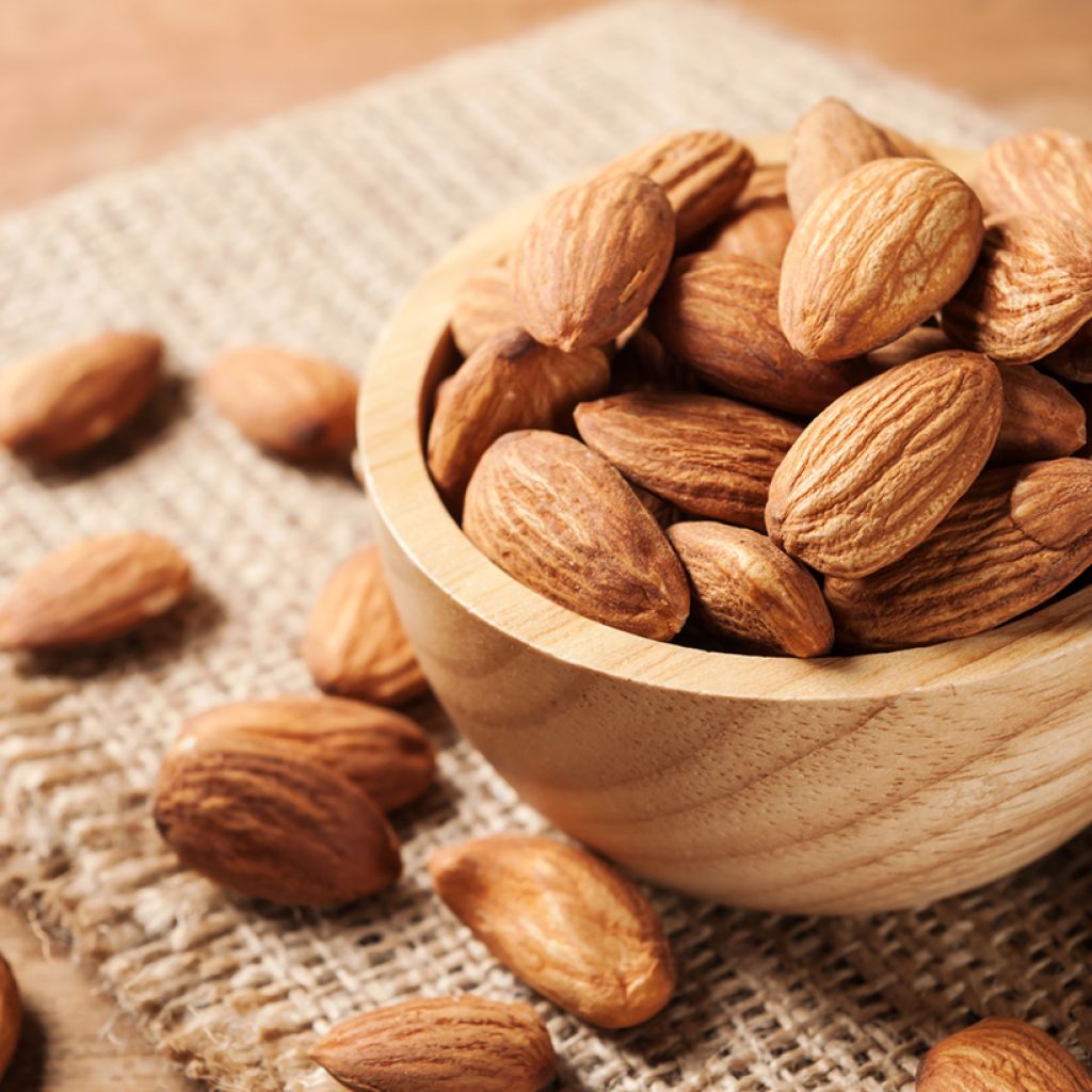 Mandorlo Desmayo Largueta