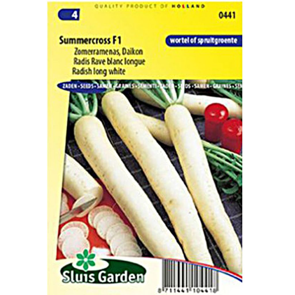 Ravanello longipinnatus Rave blanc Summercross F1