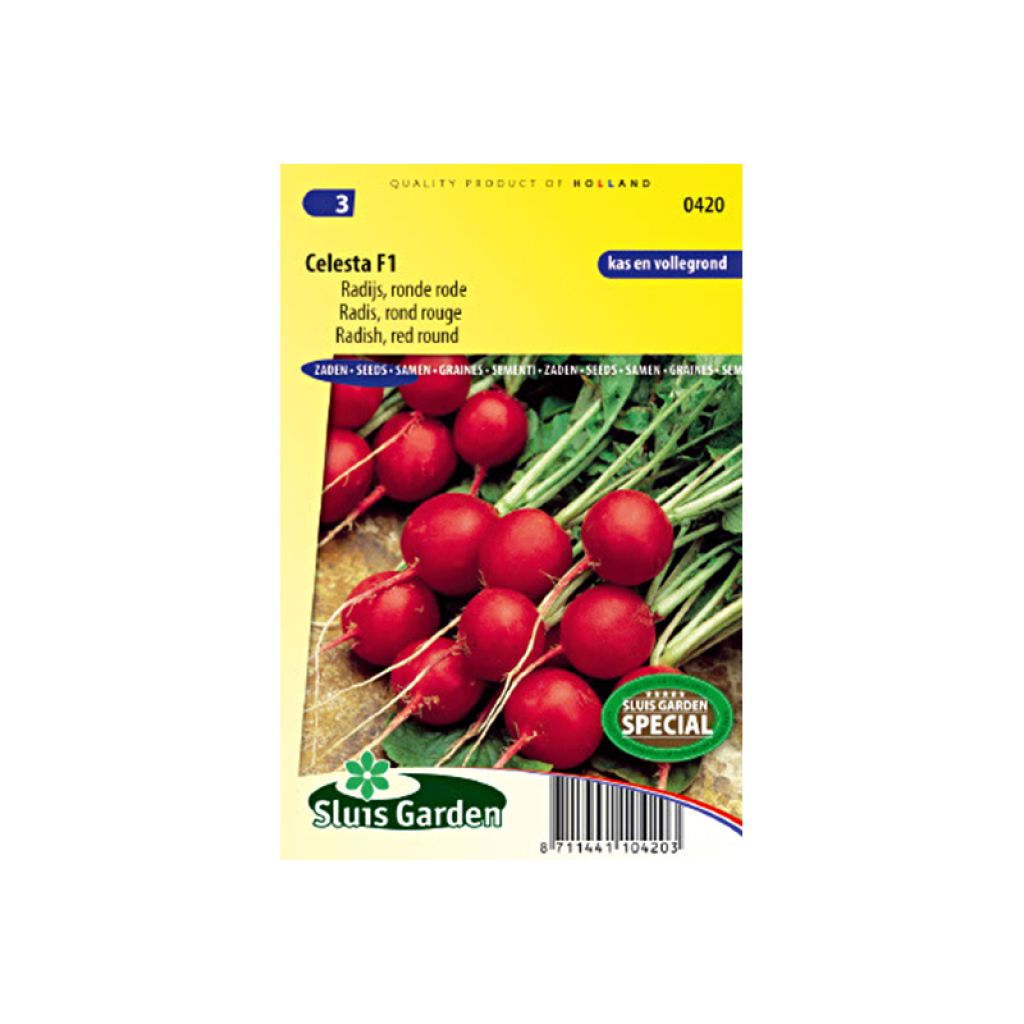 Ravanello Rotondo rosso Celesta F1