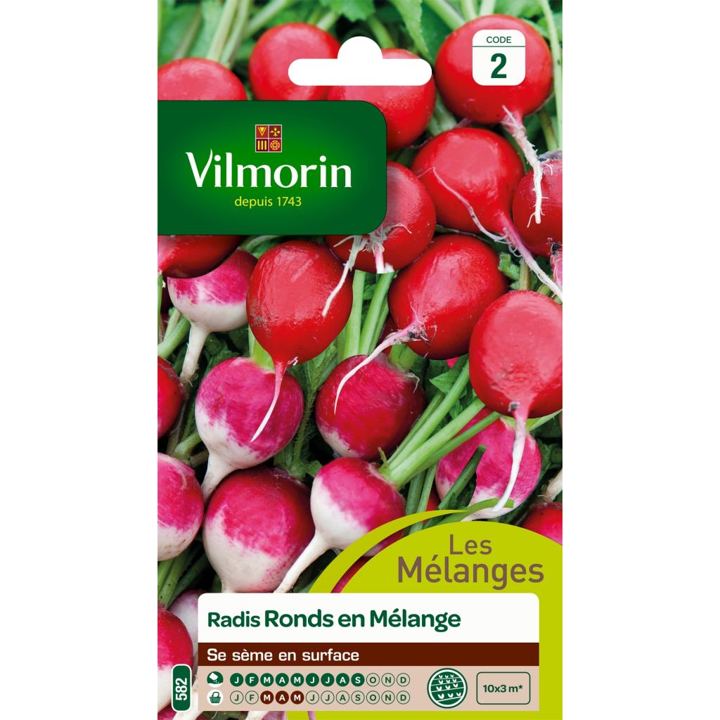 Ravanello Gaudry 2 - Jolly