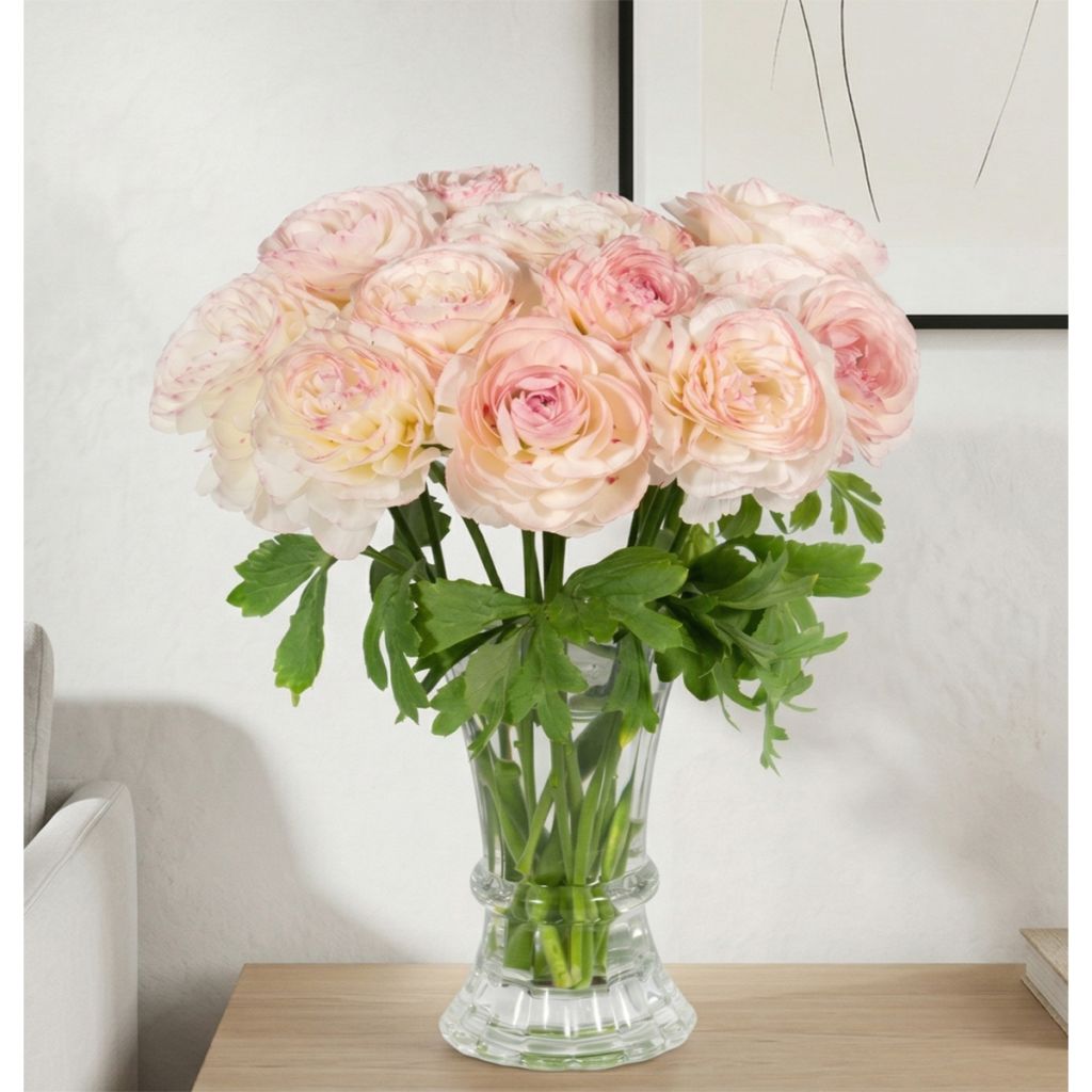 Ranuncolo asiatico Romance Orleans – Ranunculus asiaticus