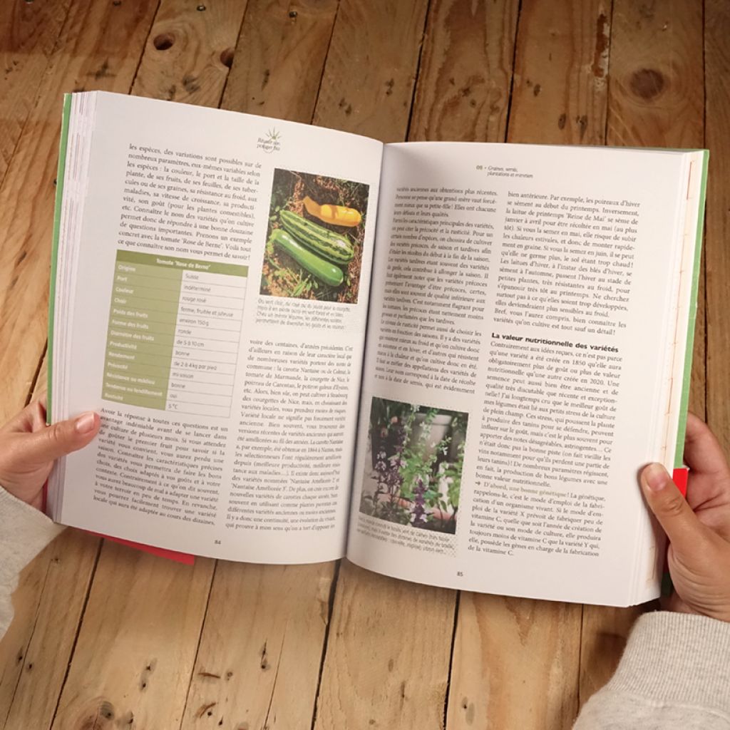 Réussir son potager bio en partant de zéro