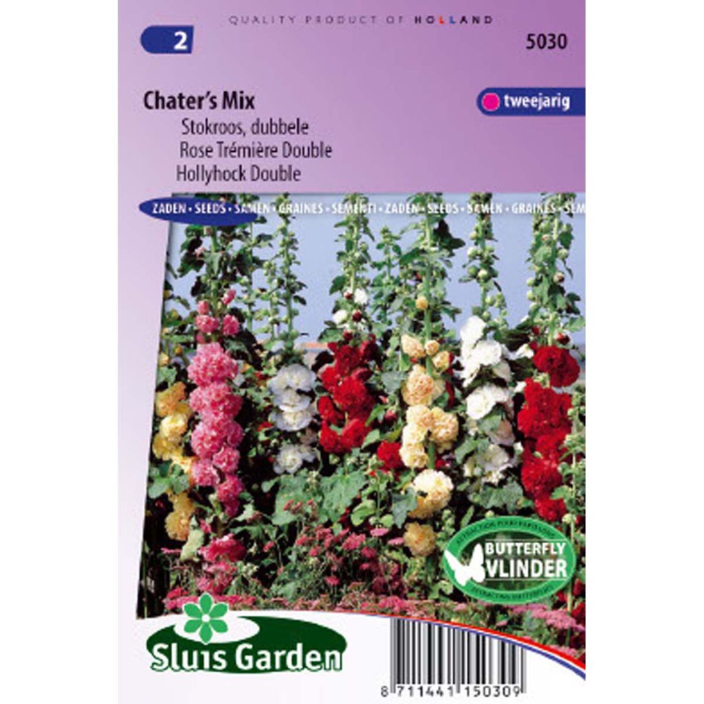 Alcea rosea Chater’s Double - Malvarosa