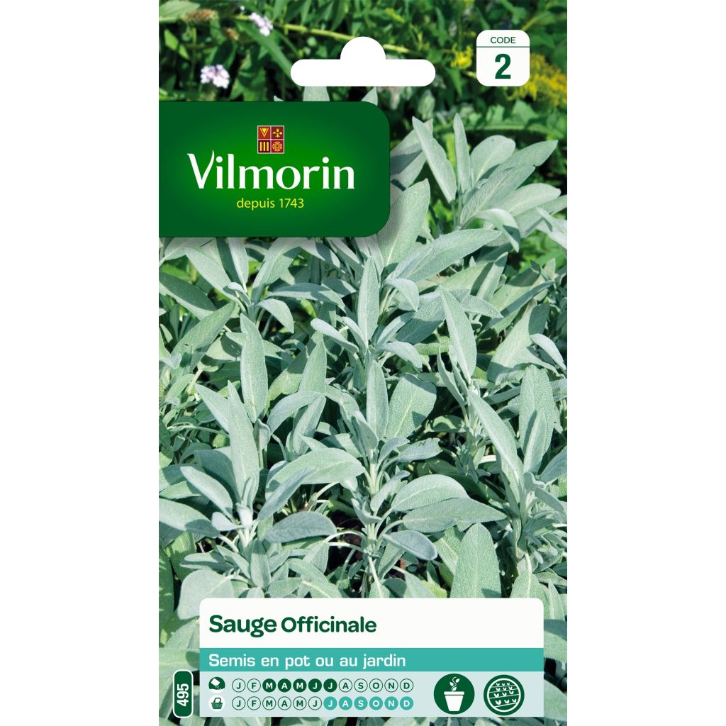 Salvia officinalis - Vilmorin - Salvia comune