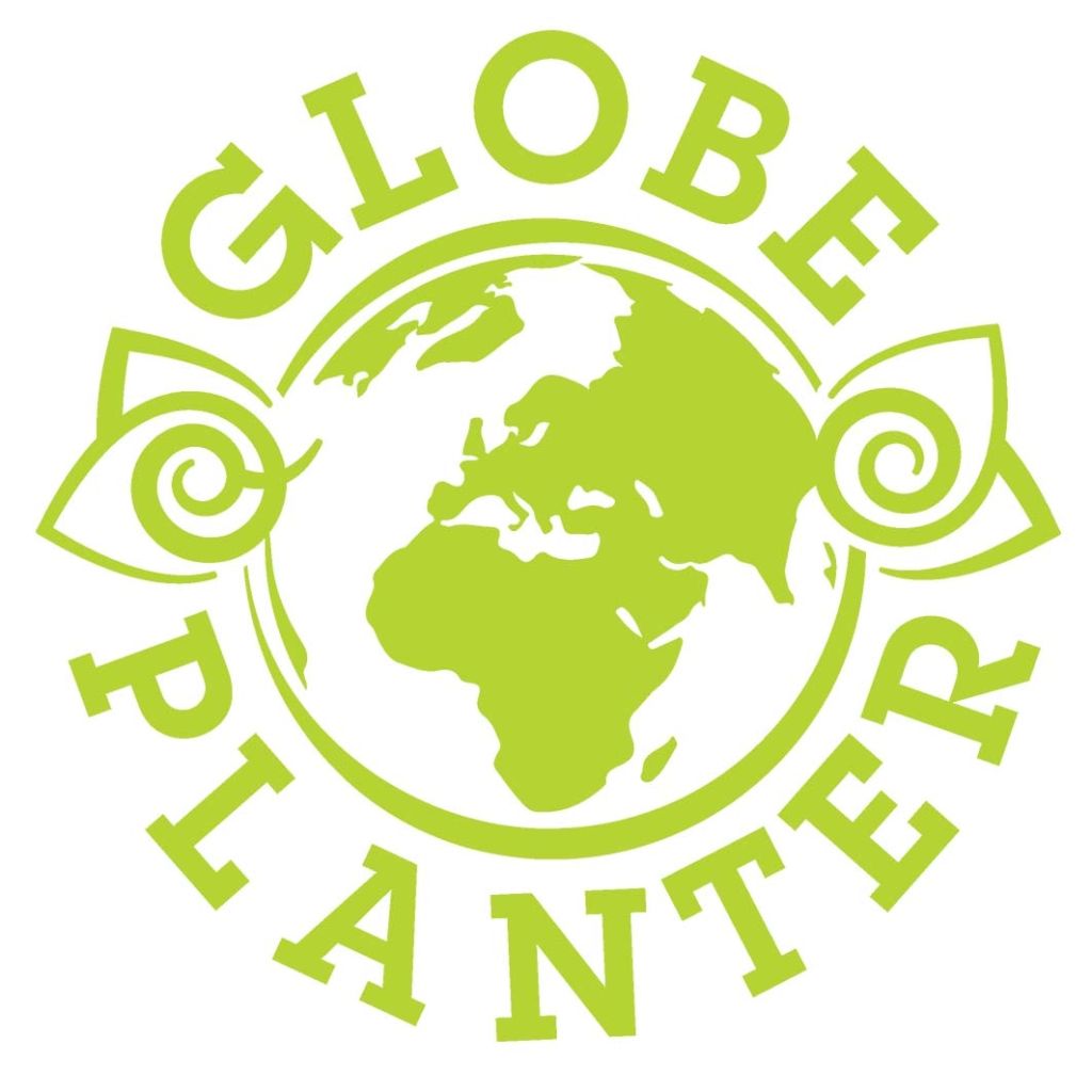 Sempervivum Chick Charms Cinnamon Starbust - Semprevivo