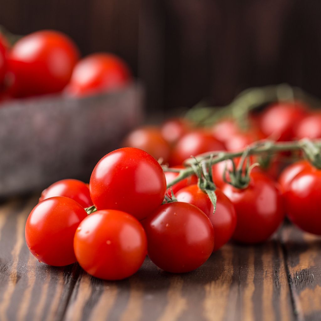 Pomodoro ciliegino/datterino