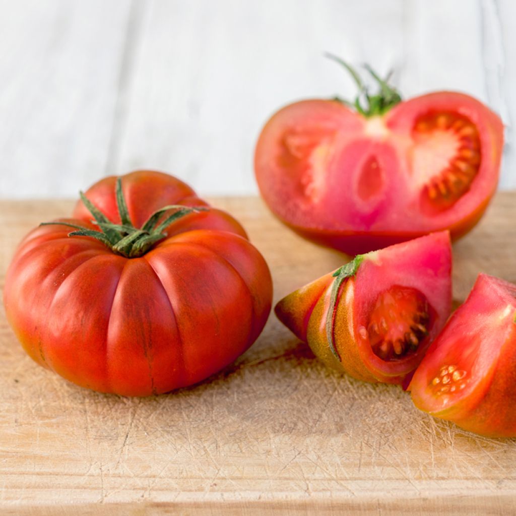 Pomodoro cuore di bue Faworyt BIO (semi)