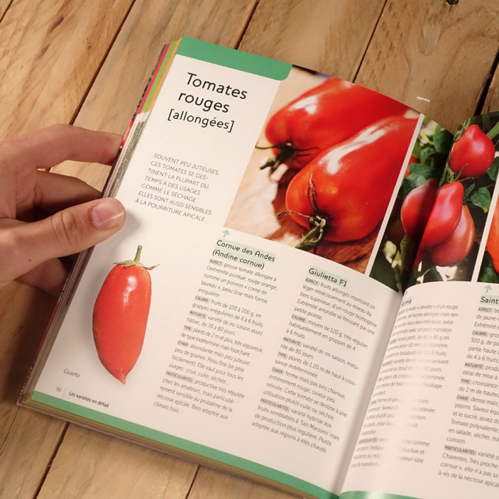 Tomates. Les variétés qui ont du goût et comment les cultiver