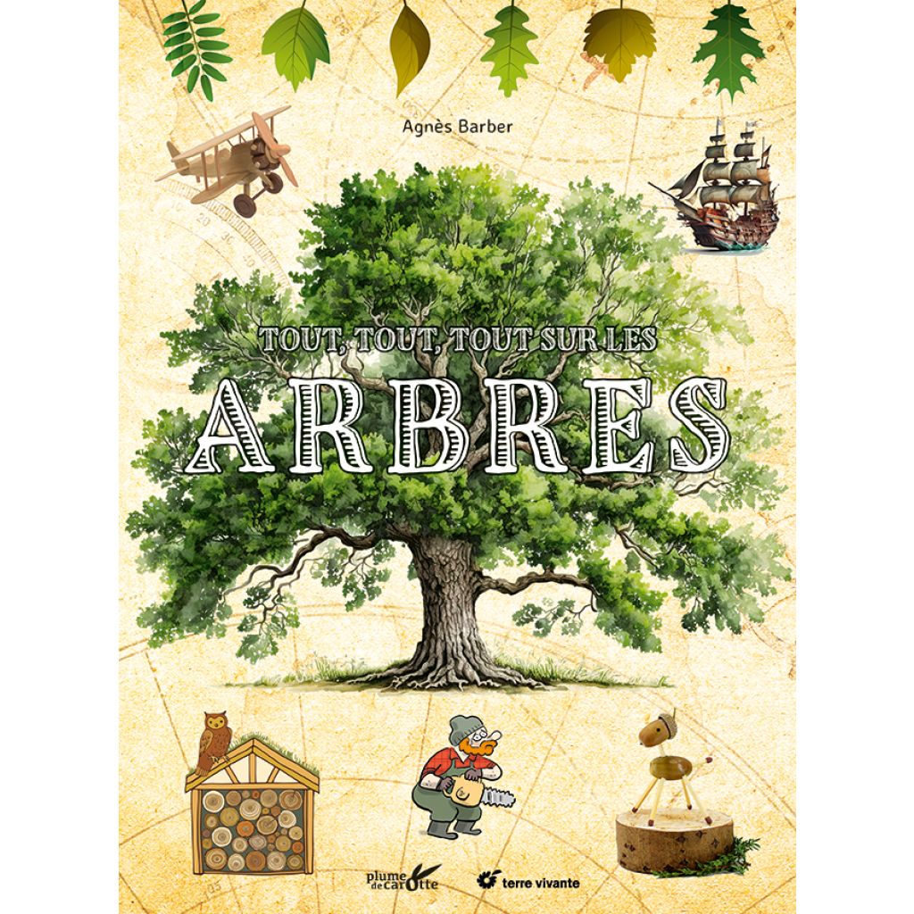 Tout, tout, tout sur les arbres
