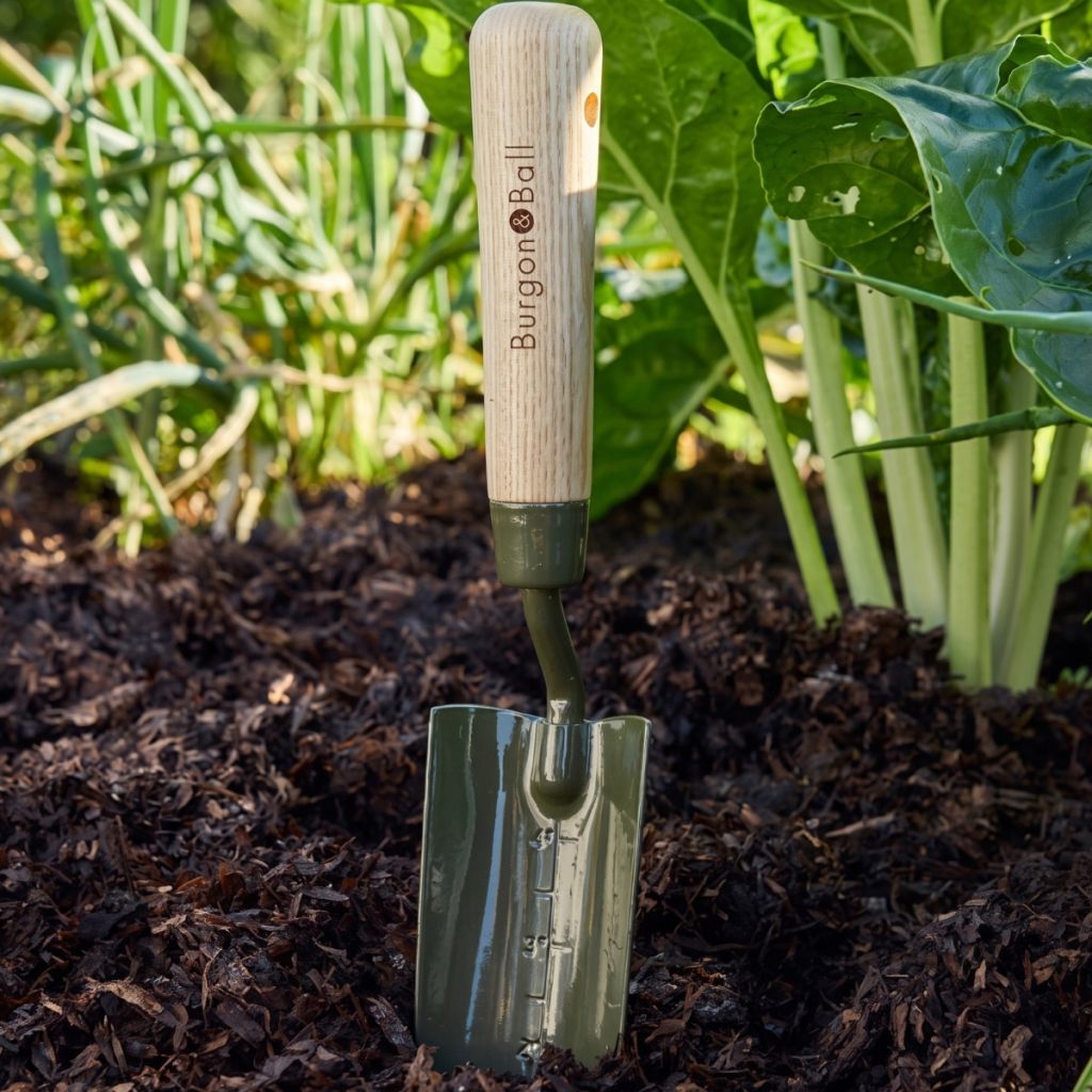 Trapiantatore graduato BoronGreen Burgon and Ball - Gamma RHS