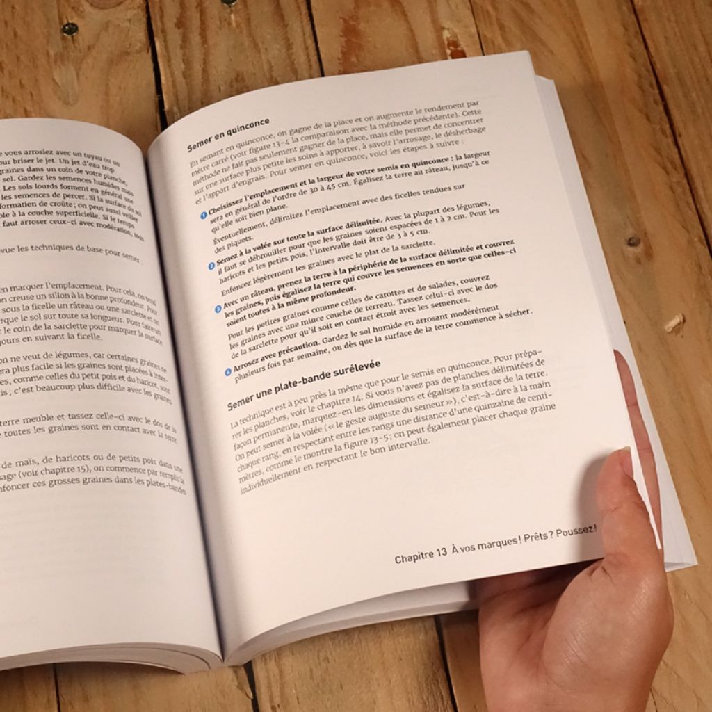 Un potager pour les Nuls