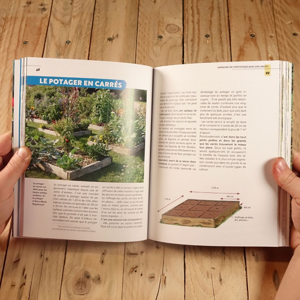 Un petit potager productif