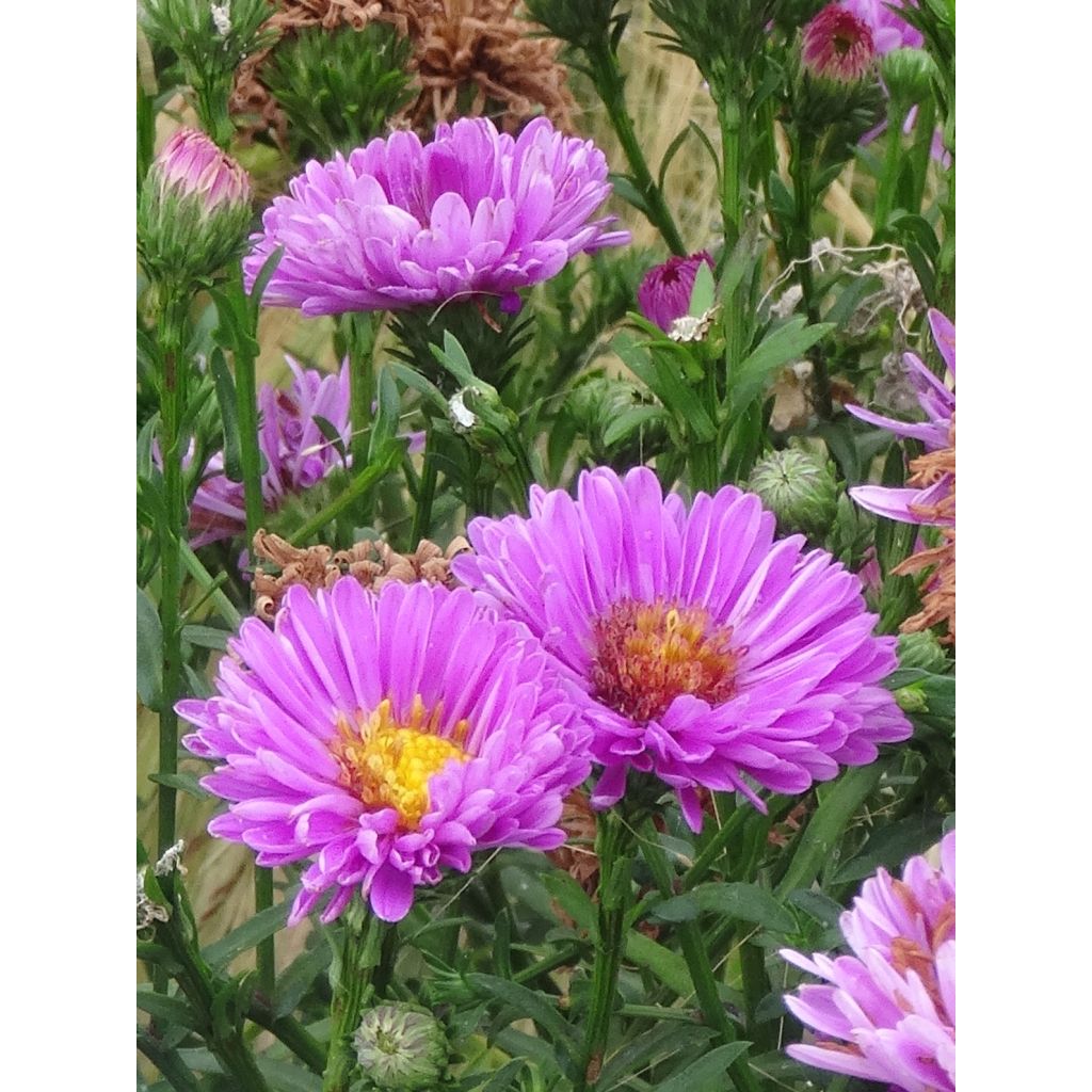 Toujours là en septembre !