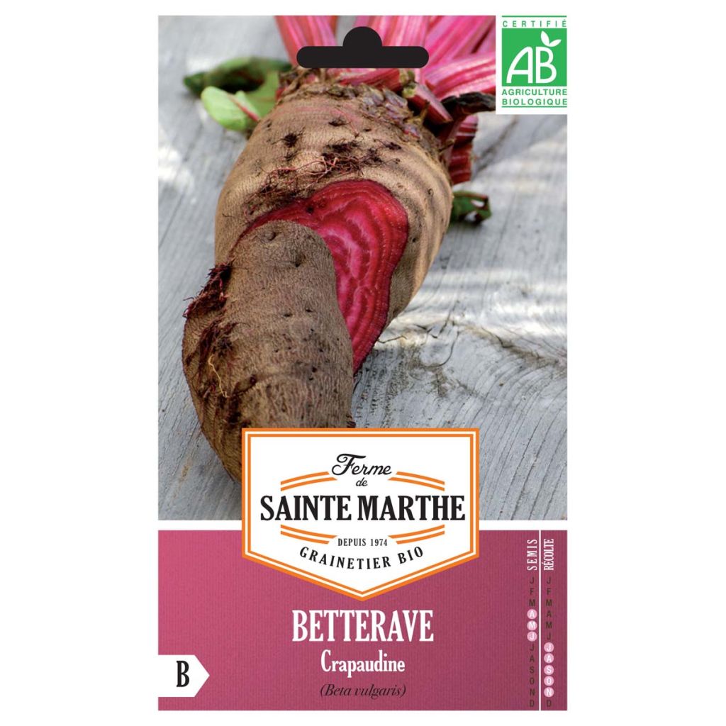 Barbabietola Crapaudine Bio - Ferme de Sainte Marthe