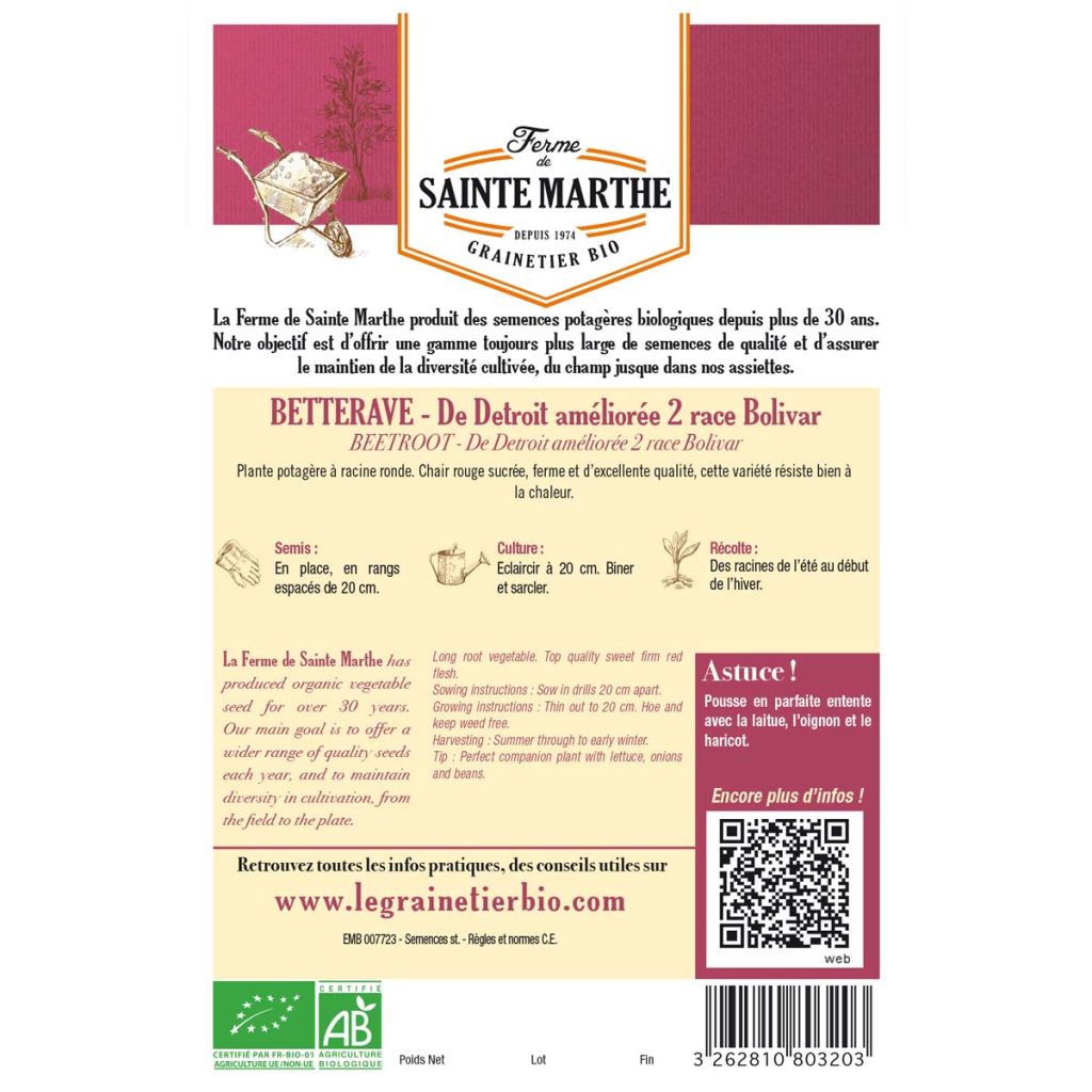 Barbabietola rossa De Detroit Améliorée 2 race Bolivar