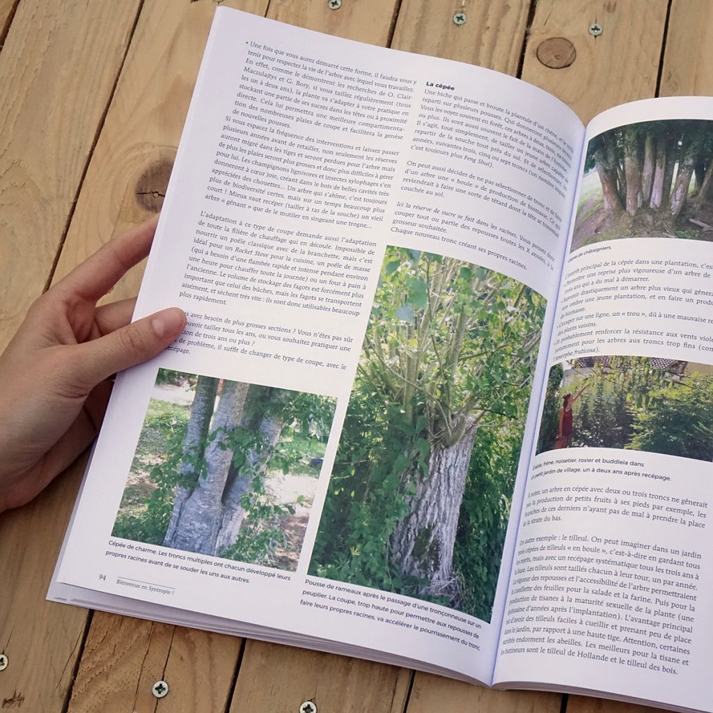 Bienvenue en syntropie