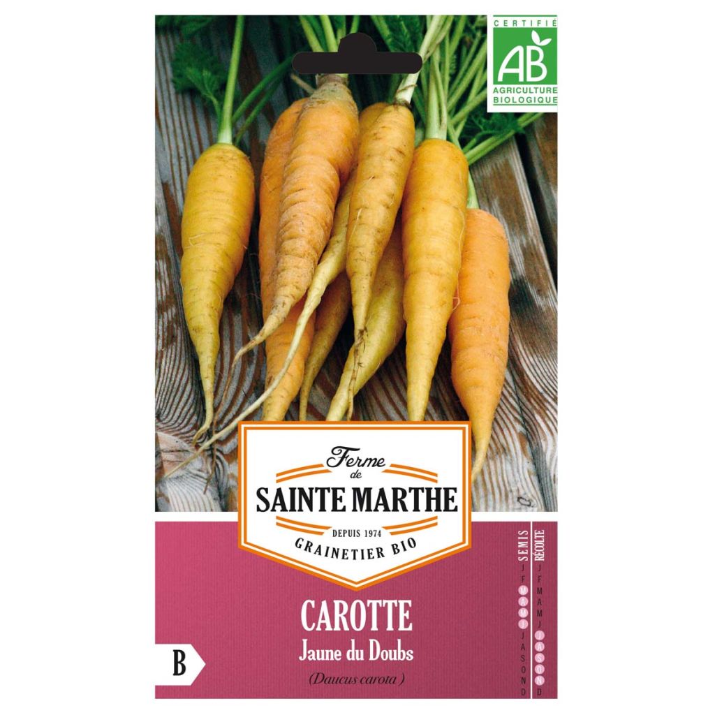 Carota da foraggio Jaune du Doubs Bio - Ferme de Sainte Marthe