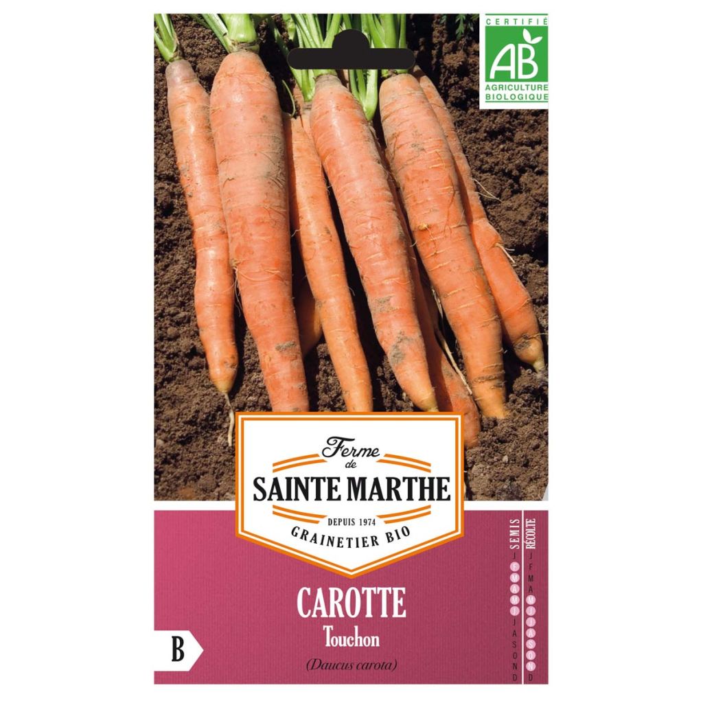 Carota Touchon Bio - Ferme de Sainte Marthe