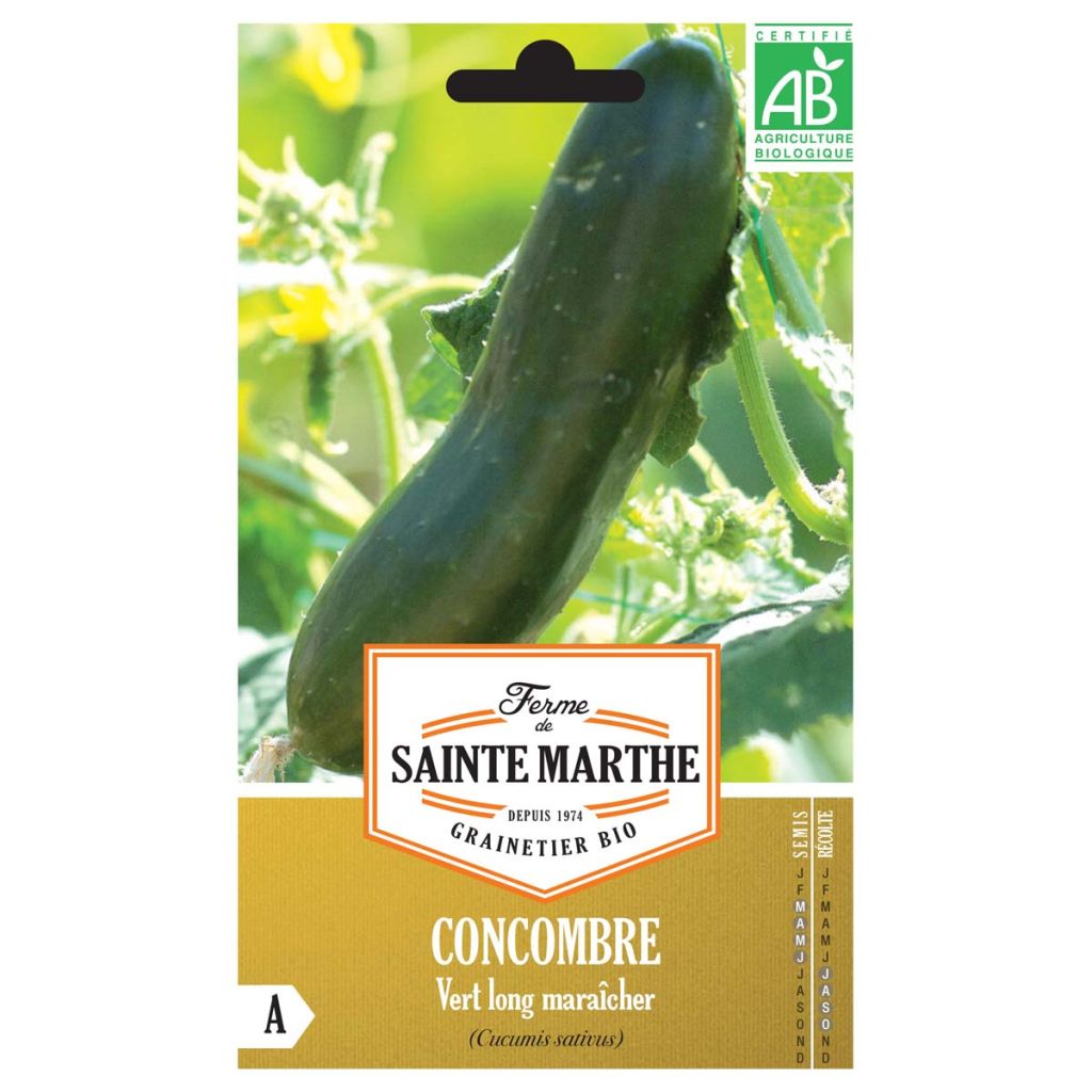 Cetriolo Verde long maraîcher Bio