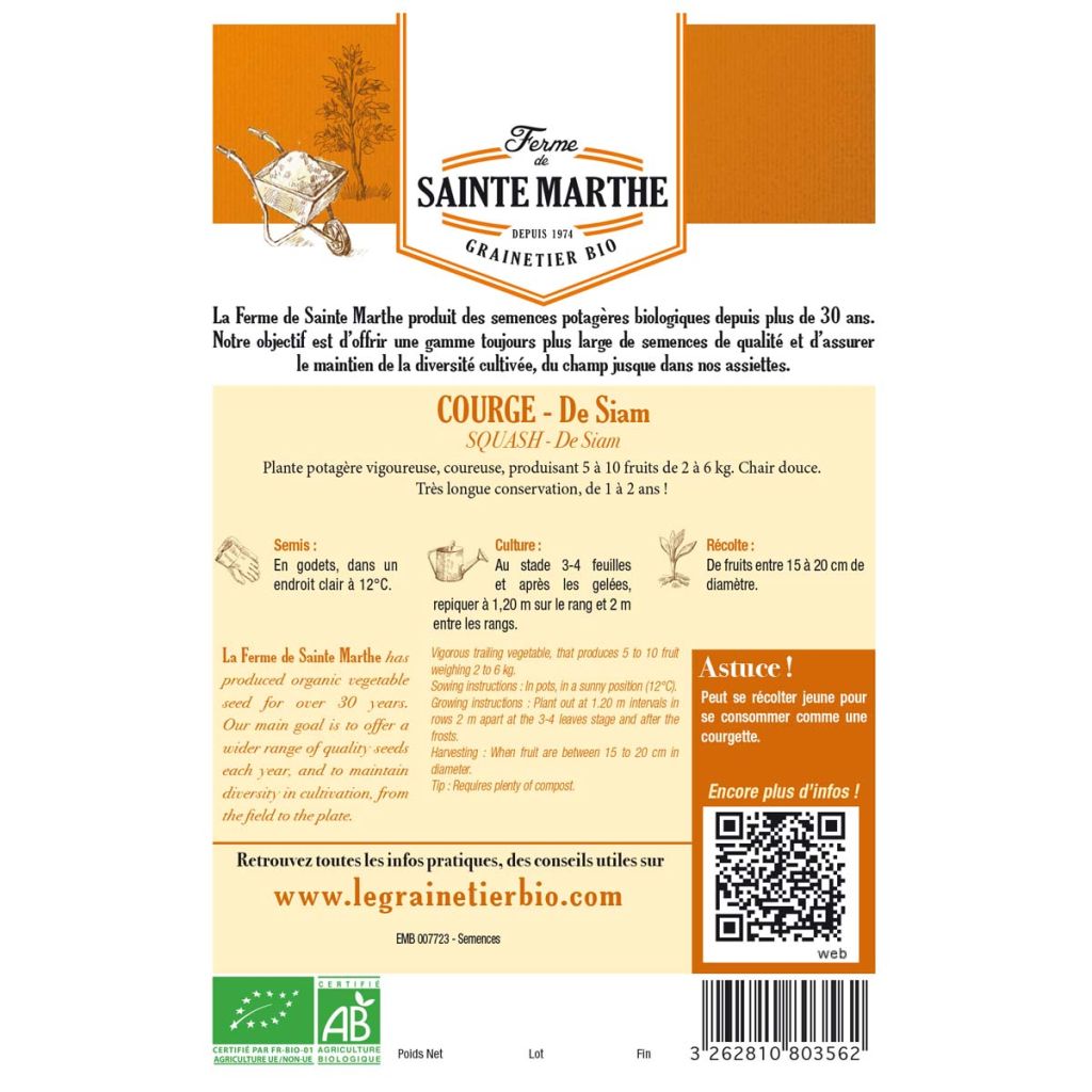 Cucurbita ficifolia - Zucca siamese