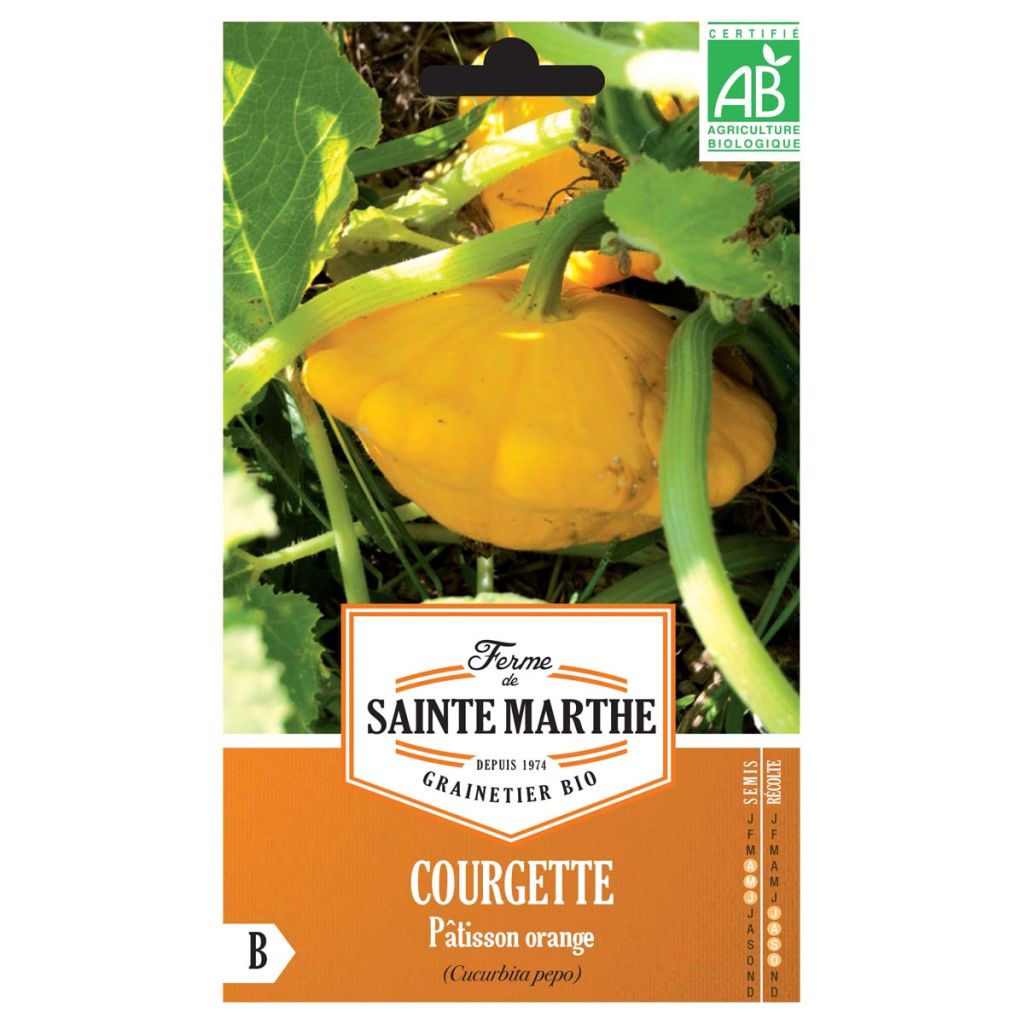 Zucchino Patisson arancione Bio - Ferme de Sainte Marthe