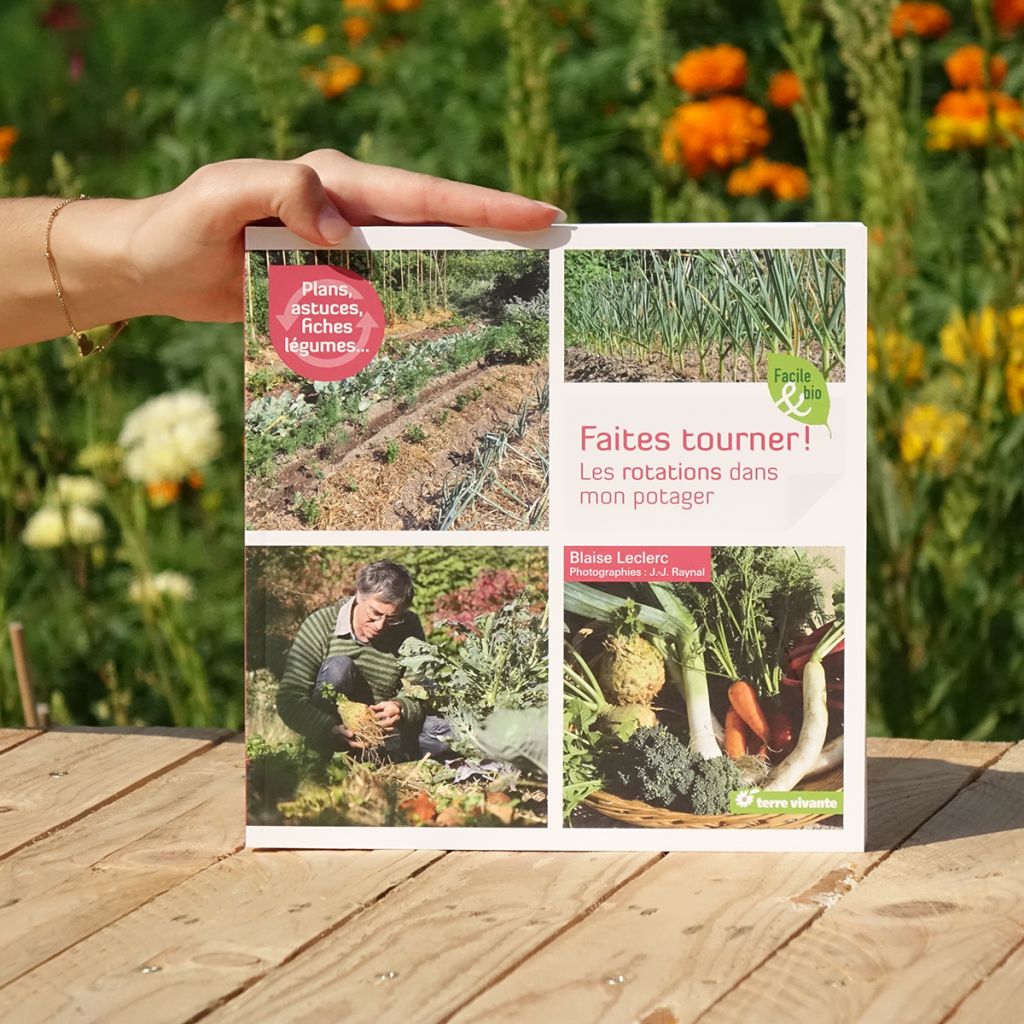 Faites tourner ! Les rotations dans mon potager