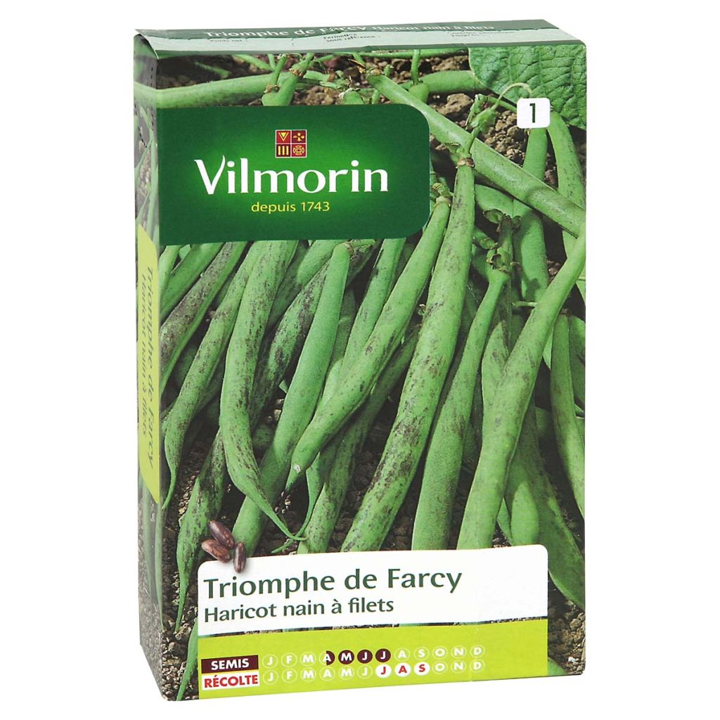 Fagiolino Triomphe de Farcy - Vilmorin