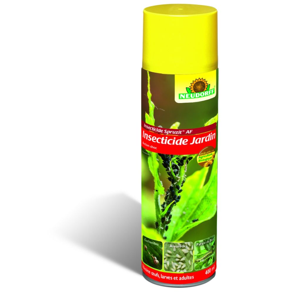 Insetticida per giardino Spruzit aerosol 400 ml