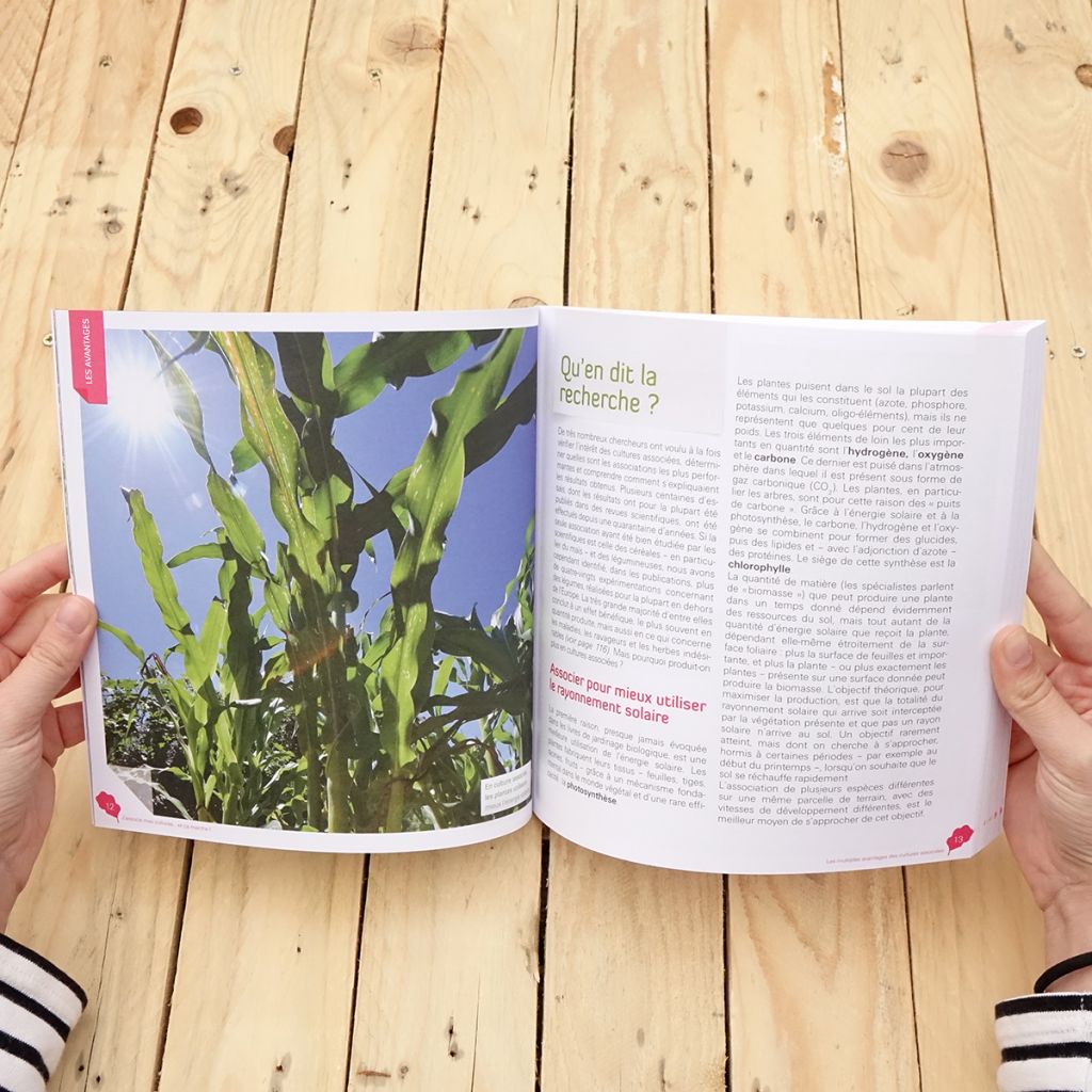 J'associe mes cultures ... et ça marche !