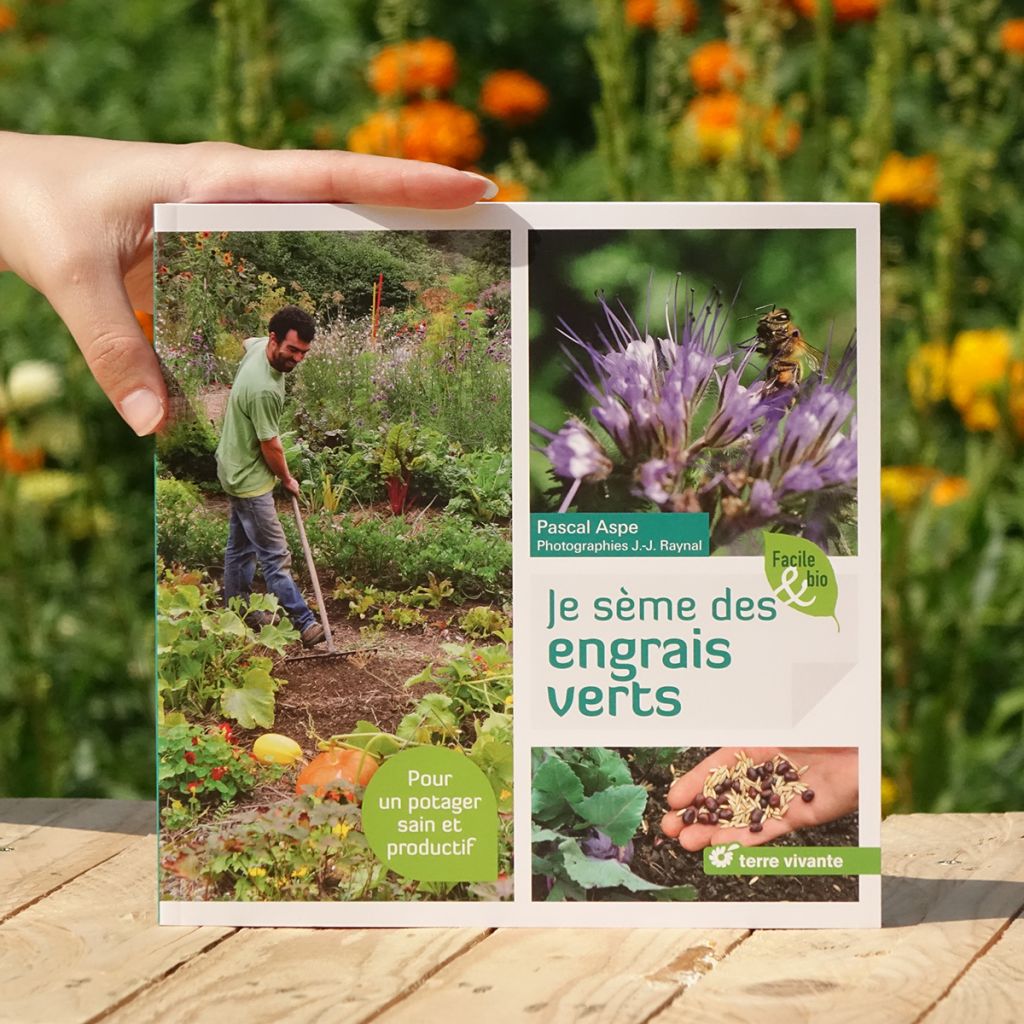 Je sème des engrais verts